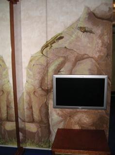Hotel Drachen Bazylea Zewnętrze zdjęcie